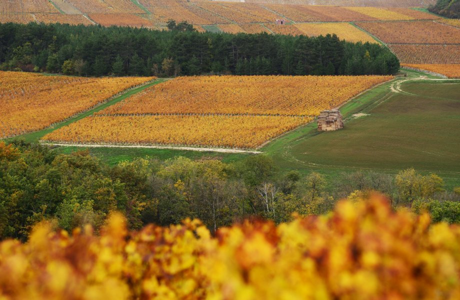 Nos Petit Chablis