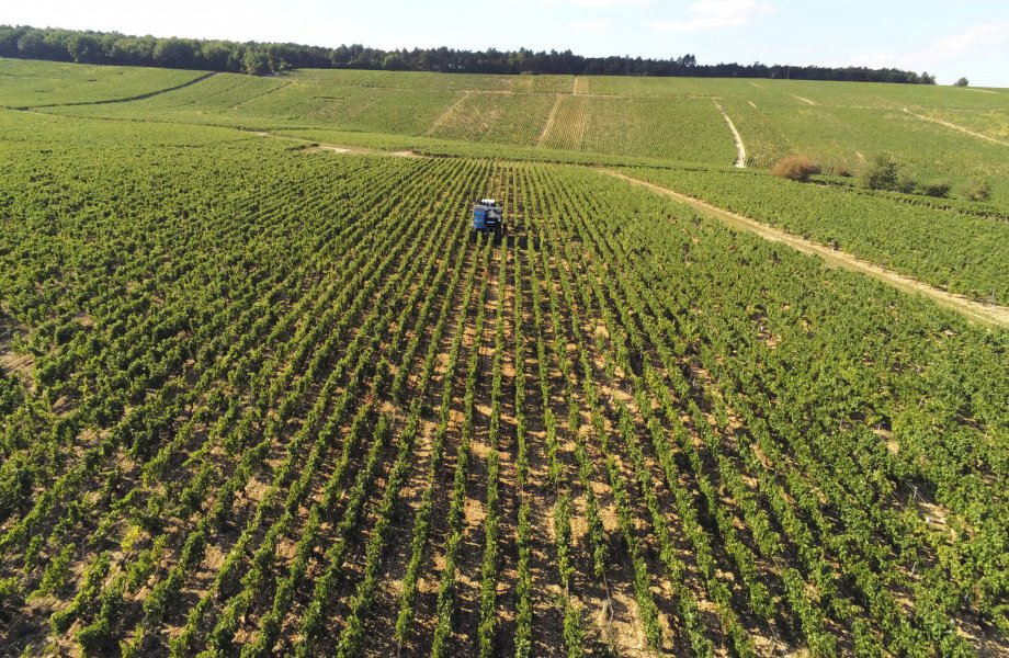 Nos Chablis 1er Cru Vaillons