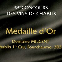 Concours des Vins de Chablis 2024 : Médaille d'or